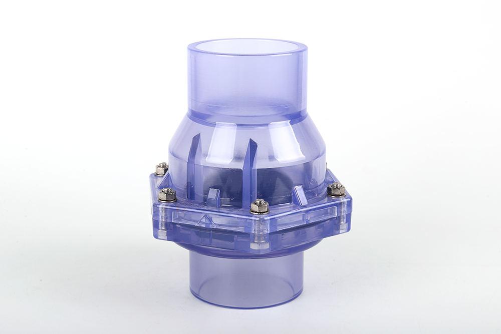 克井镇透明翻板式止回阀